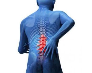 Back Injury Workers Compensation