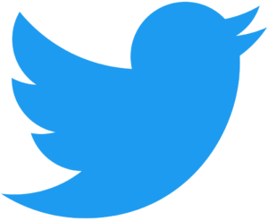 2021 Twitter logo - blue